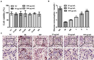 Antidiabetic Function of Lactobacillus fermentum MF423-Fermented Rice Bran and Its Effect on Gut Microbiota Structure in Type 2 Diabetic Mice